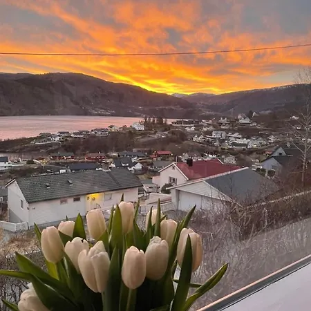 Stay Inn Bergen Apartment *